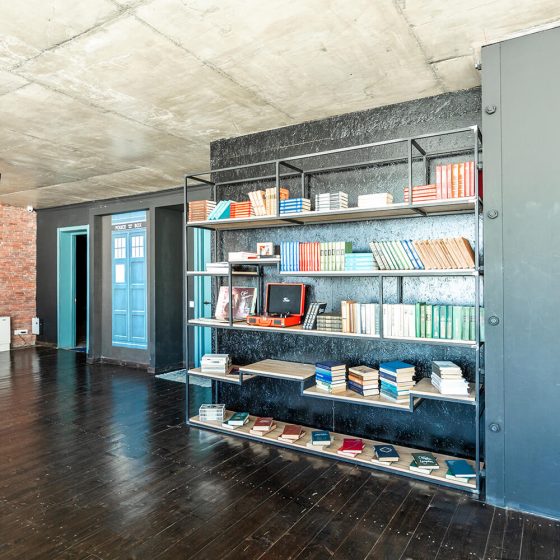 loftvinyl&books_2